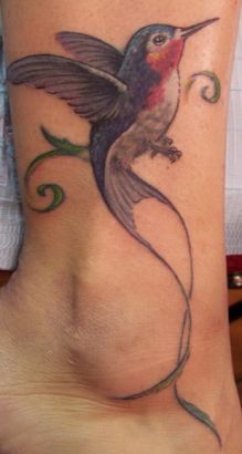 Hummingbird Pic Tattoo On Ankle